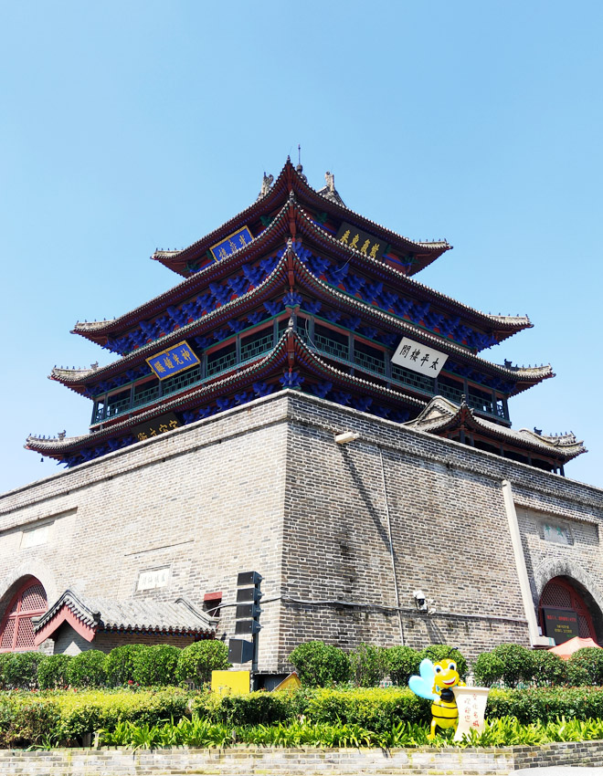 聊城新锐网络 聊城新锐网络