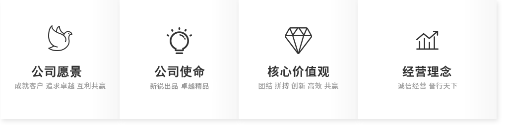 聊城新锐网络（江北科技）